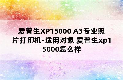 爱普生XP15000 A3专业照片打印机-适用对象 爱普生xp15000怎么样